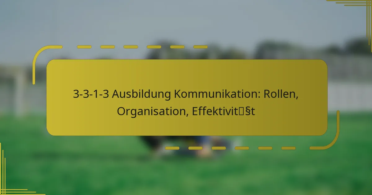 3-3-1-3 Ausbildung Kommunikation: Rollen, Organisation, Effektivität