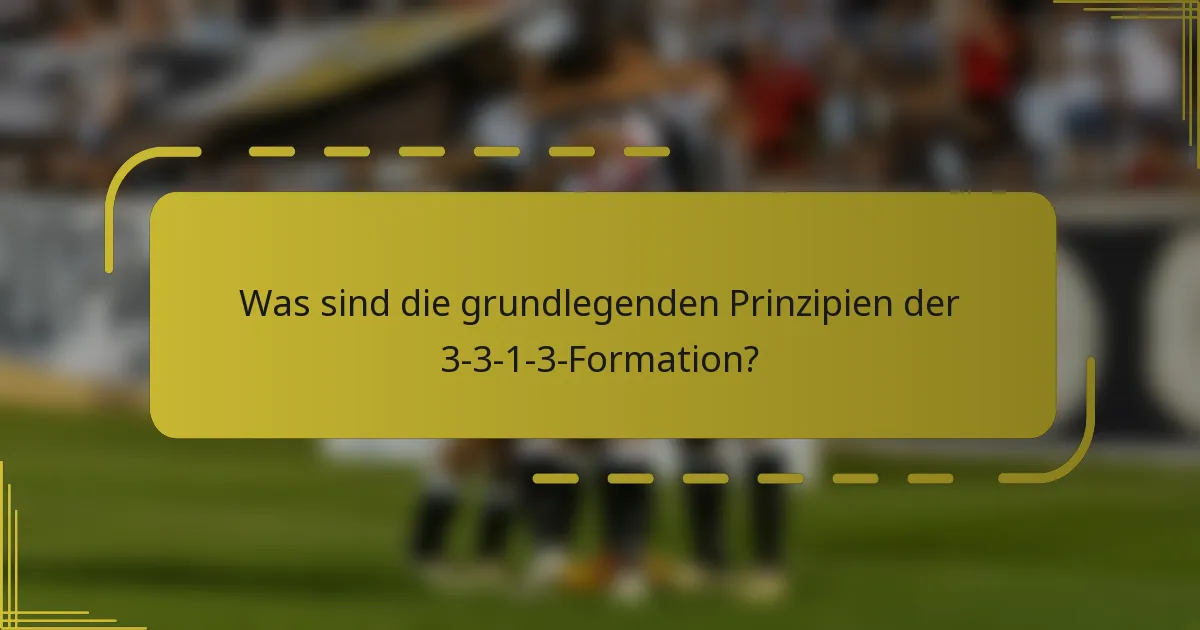 Was sind die grundlegenden Prinzipien der 3-3-1-3-Formation?