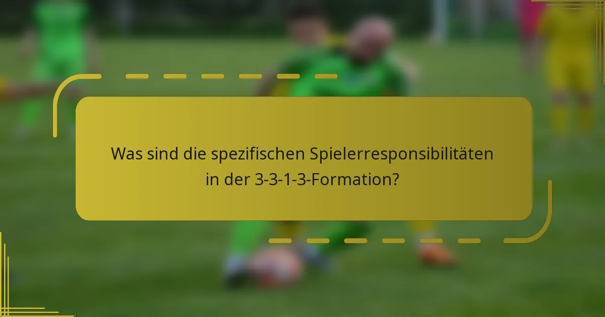Was sind die spezifischen Spielerresponsibilitäten in der 3-3-1-3-Formation?