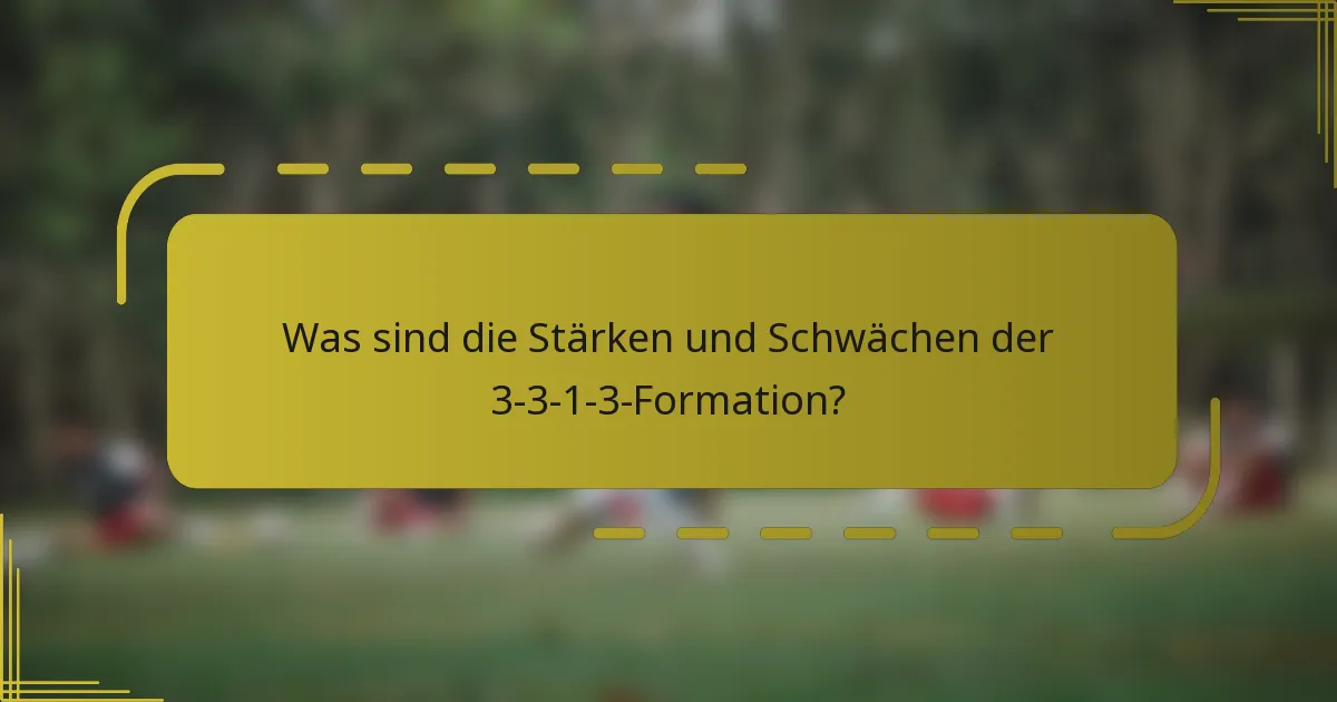 Was sind die Stärken und Schwächen der 3-3-1-3-Formation?