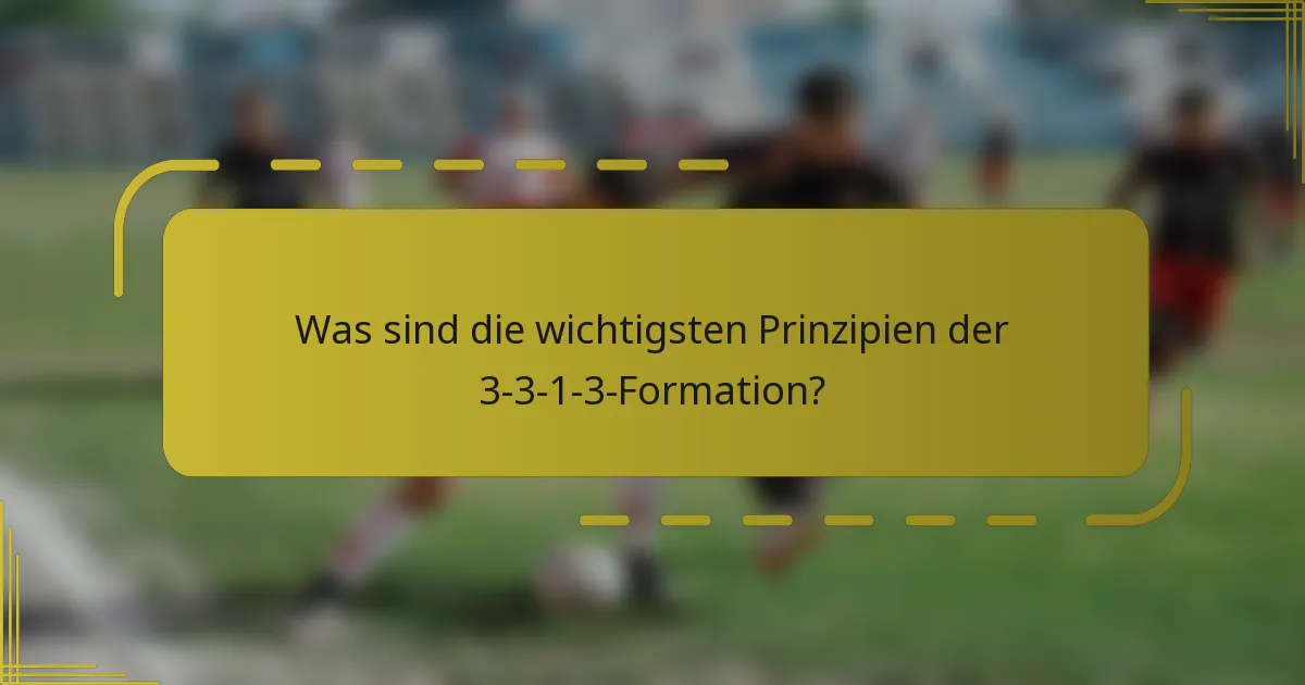 Was sind die wichtigsten Prinzipien der 3-3-1-3-Formation?