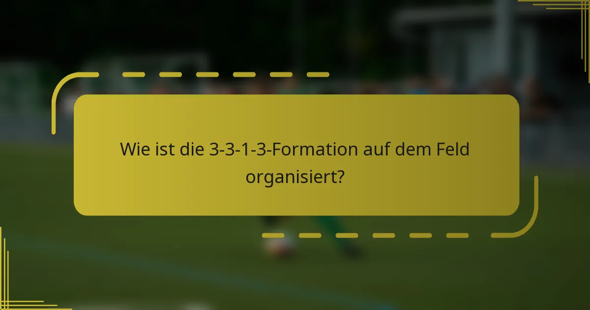 Wie ist die 3-3-1-3-Formation auf dem Feld organisiert?